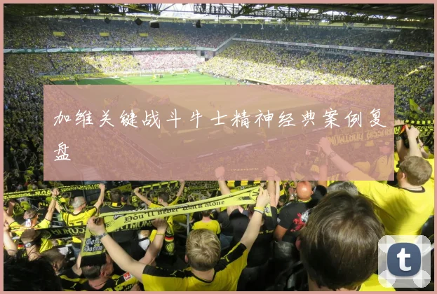 加维关键战斗牛士精神经典案例复盘
